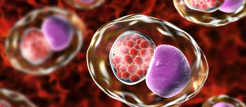 std testing center houston same day covid test